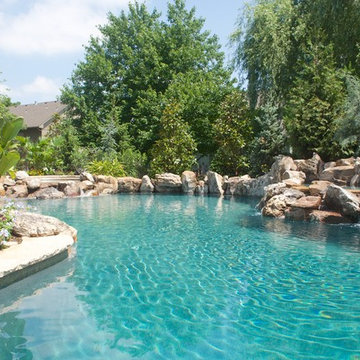 Backyard Oasis