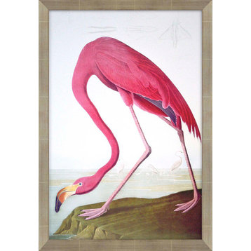 "Flamingo" Artwork