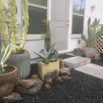 Created Cactus potted & rock garden