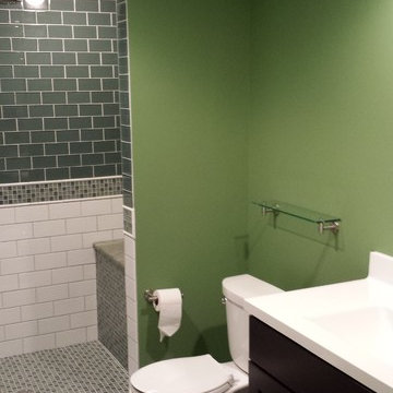 Ann Arbor Glass Subway Tile Basement Bath