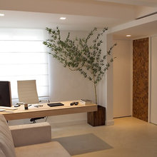 Office/ Home Office