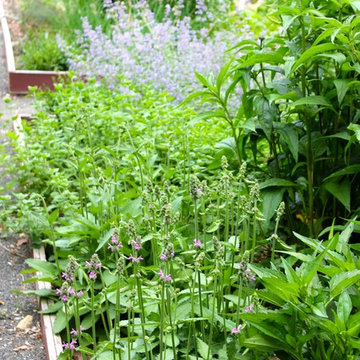 Garden Vignettes