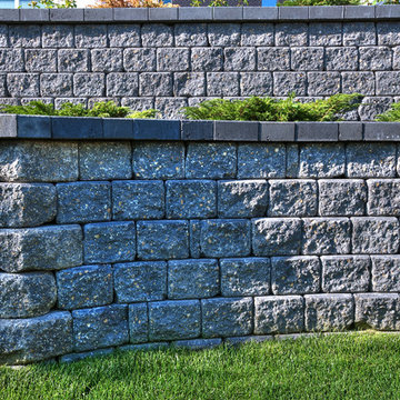 Small Yard Big Dreams