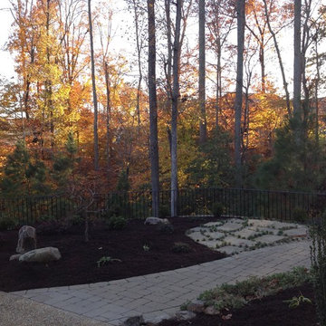 Landscape Renovation