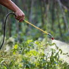 Pest Control Services Chattanooga TN