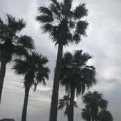 Hattan Hamdan's photo
