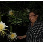 Foto von Debbi Sokol