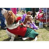 Baxter Frisch's photo
