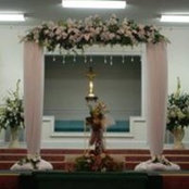 Dianne Cooleys foto