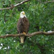 Kathy King's photo