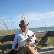 Marc Drimmer's photo