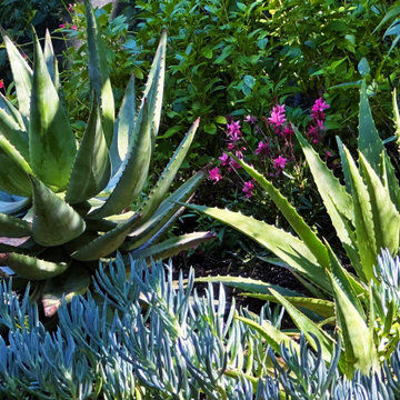 Agoura Hills Yardscape