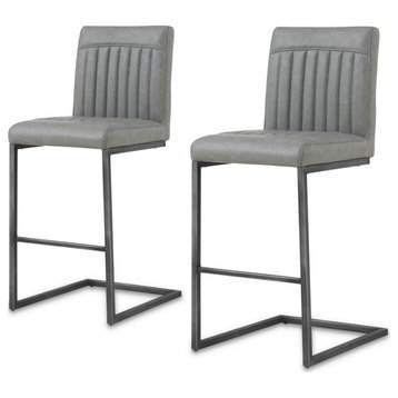 New Pacific Direct Ronan 26" PU Leather Counter Stool in Gray (Set of 2)