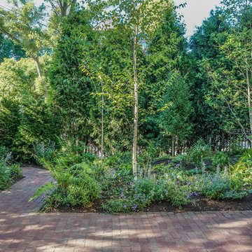 Brick Courtyard with Birch and Ground Cover