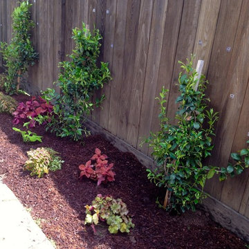 Small Yards