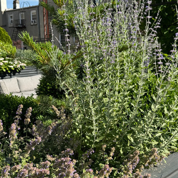 Carroll Gardens Rooftop Terrace