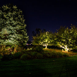 Old To New - Landscape Lighting