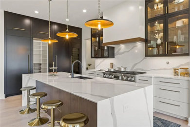 Example of a minimalist kitchen design in Wichita