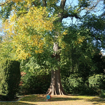 Moderner garten mit klassischen Elementen