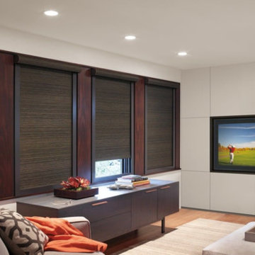 Blackout Roller Shades for the Media Room