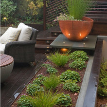 Outdoor Modern Landscape