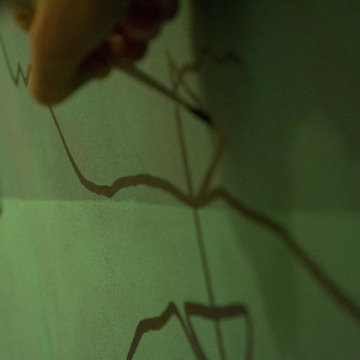 The black line, detail