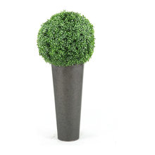 Topiary