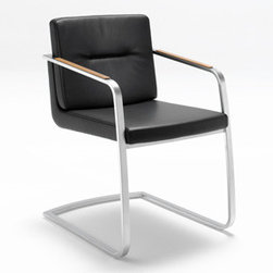 DSL Dining chairs - Dining Chairs