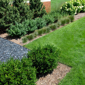 Contemporary New Home Landscape - Caledonia