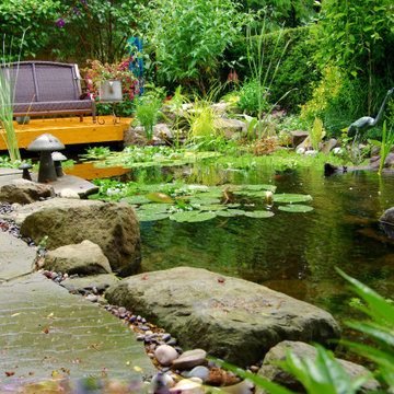 Ecosystem Ponds