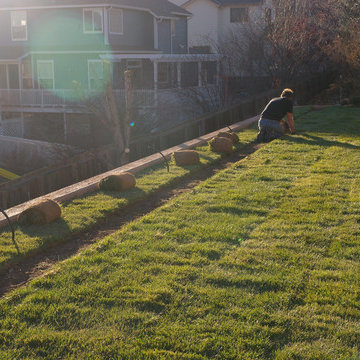 Residential Garden, Louisville - Building The Green