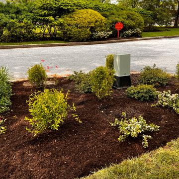 Native Plant Transformation of a HOA restricted landscape
