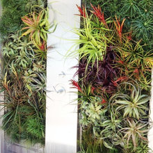 My Bathroom Plan
