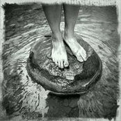 Photo de skaa