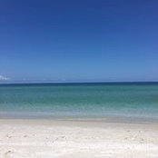 Winnie Mills's photo