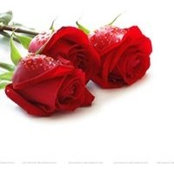 Jamie Persaud's photo