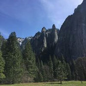 David Searight's photo