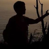 Louise Wolf's photo