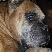Susan Peavler's photo