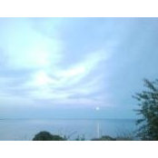 Tammy Mamo's photo