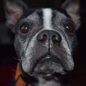 Rob Leenstra's photo