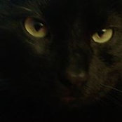Shannon Bowman's photo
