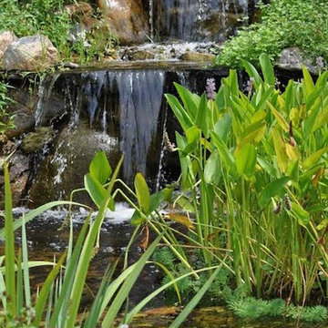 Water Gardens