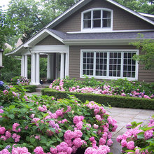 Landscape Ideas