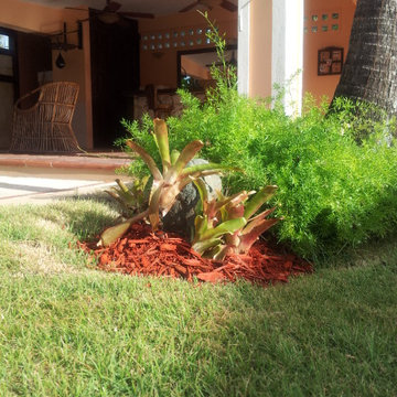 GARDEN SPRUCE UP FOR MY DAUGHTER’S WEDDING