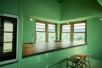 Ejemplo de cocina comedor ecléctica grande con fregadero integrado, puertas de armario verdes, encimera de madera, electrodomésticos de acero inoxidable y península