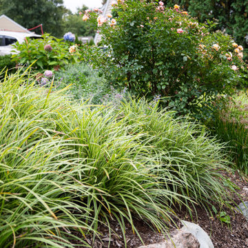 Lush Front Yard