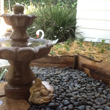 Strawberry Zen Garden