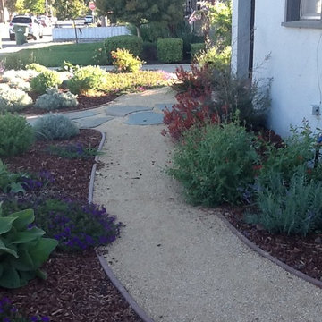 Convert lawn to low water plants with color and texture