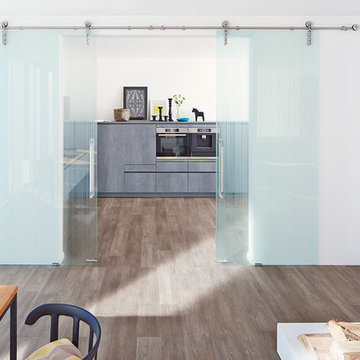 Glass Barn Doors